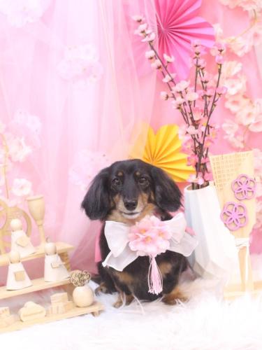 20250325モカちゃん